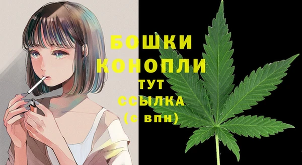 apvp Балахна
