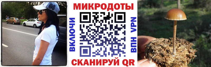 Псилоцибиновые грибы Psilocybine cubensis Суворов